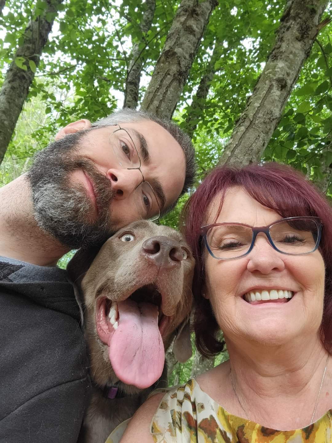 Cheerful outdoor selfie of a couple with their chocolate lab dog, who has his tongue out, against a backdrop of birch trees