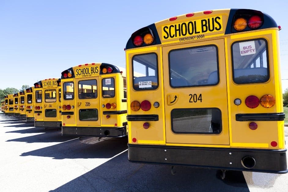Row of bright yellow school buses parked diagonally in a lot, with bus number 204 prominently shown in the foreground