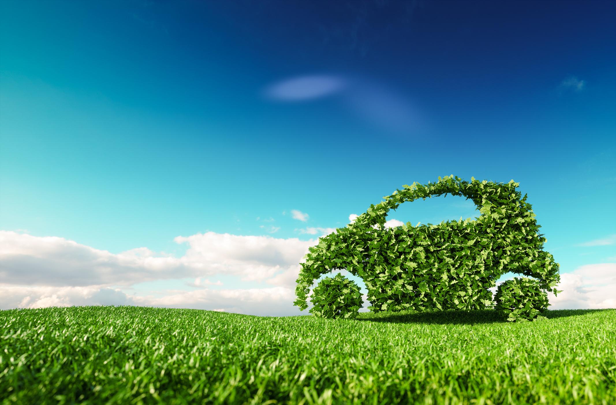 Topiary sculpture of a car made from green leaves on a grassy hill against blue sky with white clouds
