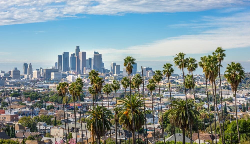 los angeles.jpeg