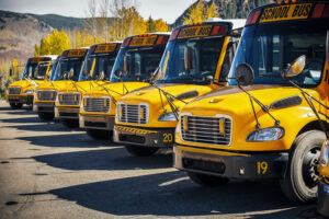 School busses