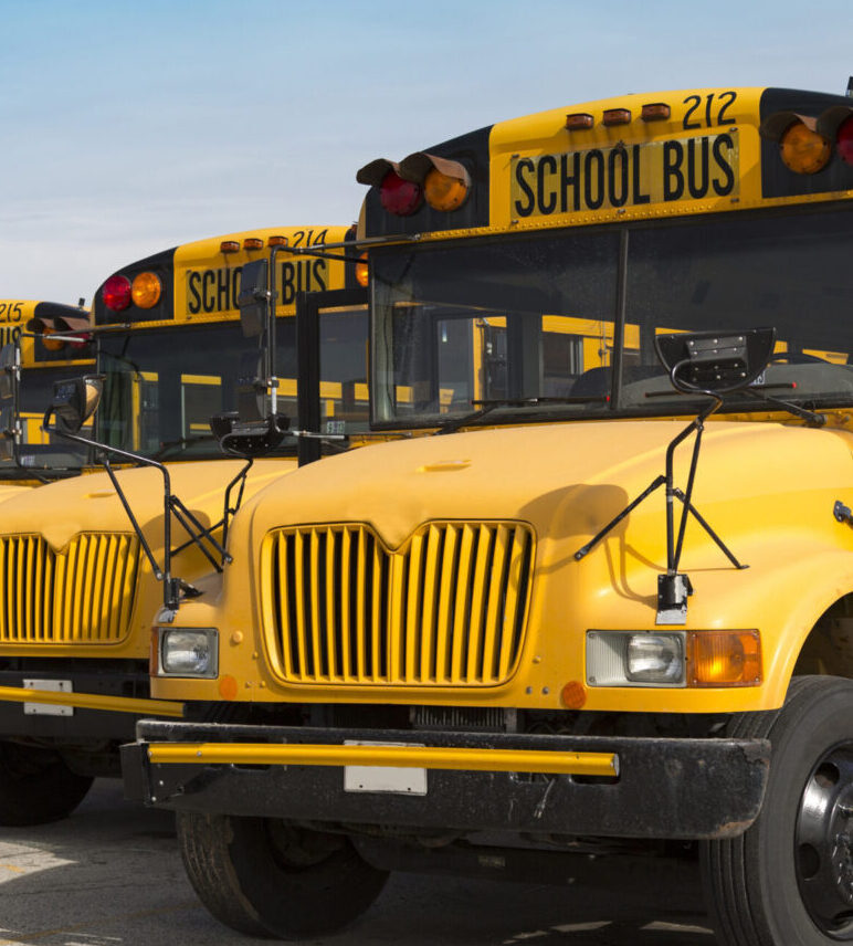 school transportation yellow school bus